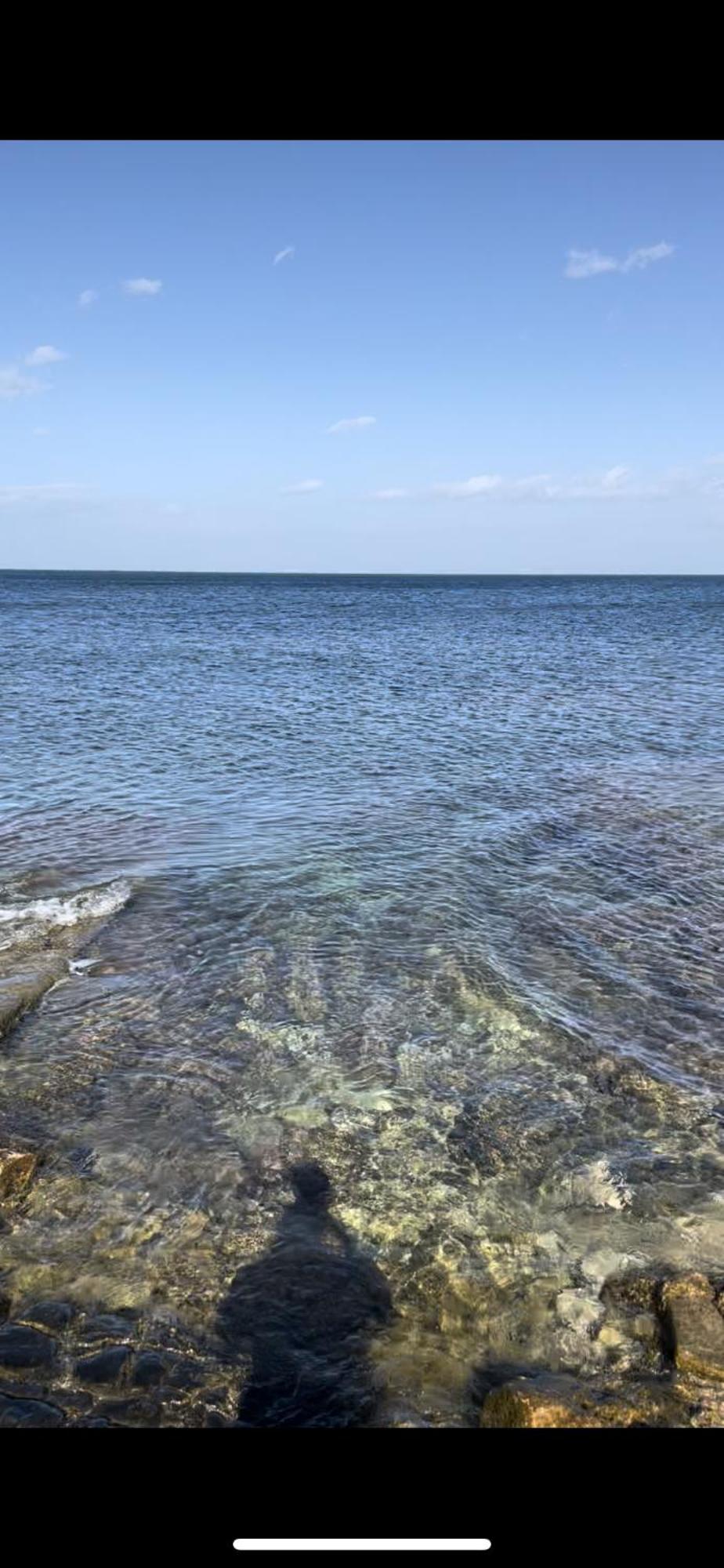 La Villetta Sul Mare Бари Экстерьер фото