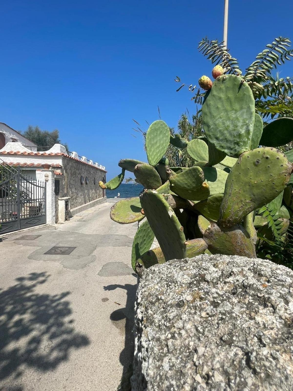La Villetta Sul Mare Бари Экстерьер фото